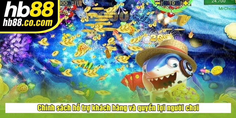 Chính sách hỗ trợ khách hàng và quyền lợi người chơi