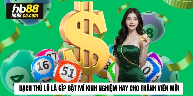 bạch thủ lô là gì
