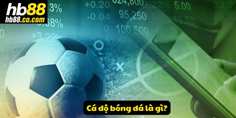 Cá độ bóng đá là gì?