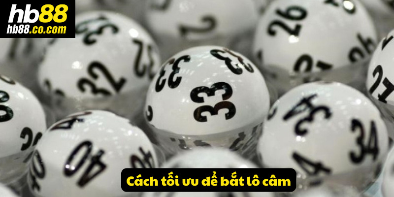 Cách tối ưu để bắt lô câm