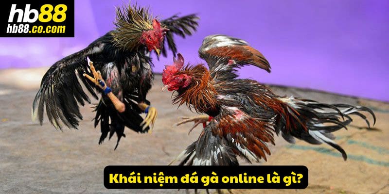 Khái niệm đá gà online là gì?