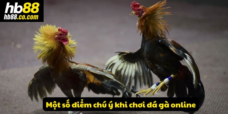 Một vài điểm chú ý khi chơi đá gà online