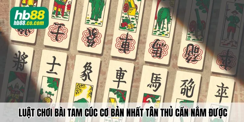 Luật chơi bài tam cúc cơ bản nhất tân thủ cần nắm được
