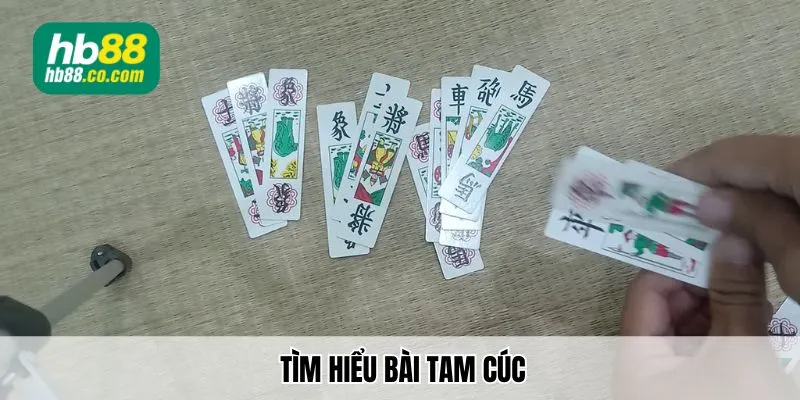 Tìm hiểu bài tam cúc